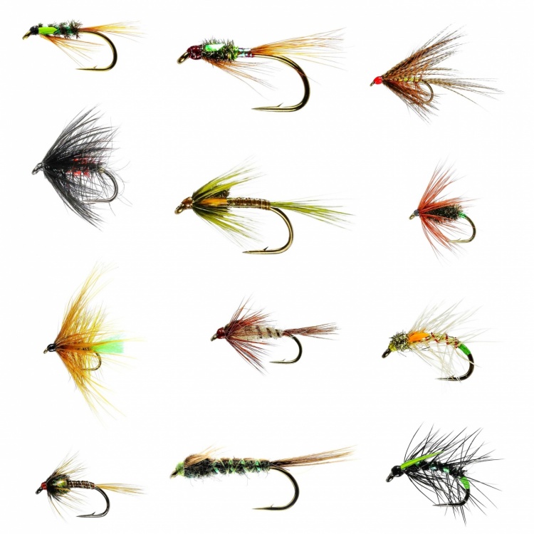 Caledonia Flies Barbed June Stillwater Dry Collection Fishing Fly Assortment